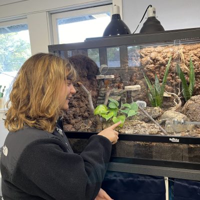high school student looking at a snake habitat